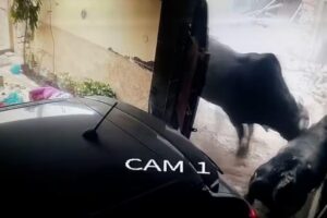 Mãe e filha foram levadas para o hospital