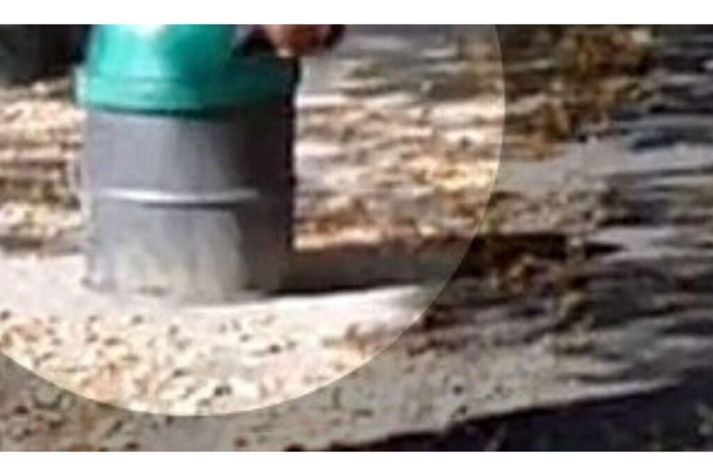 A cena viralizou no TikTok