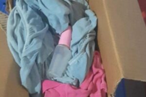 Bebê é abandonada pela mãe em Santa Catarina