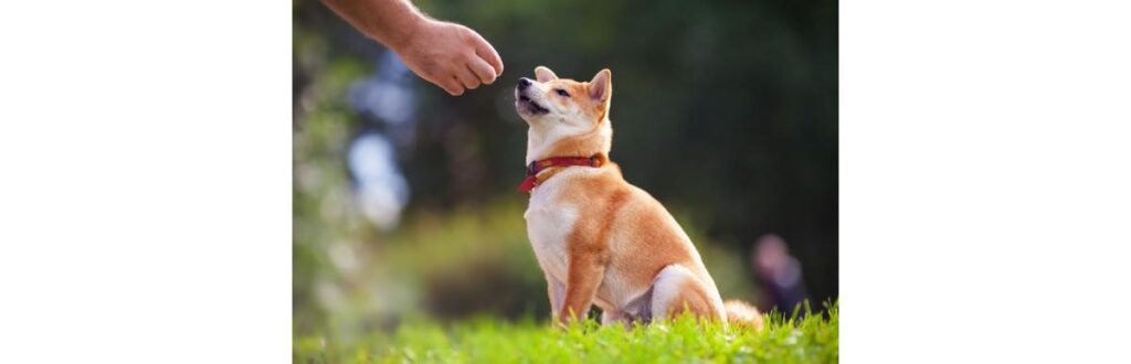 A garota tinha pouco menos de 1 ano de idade