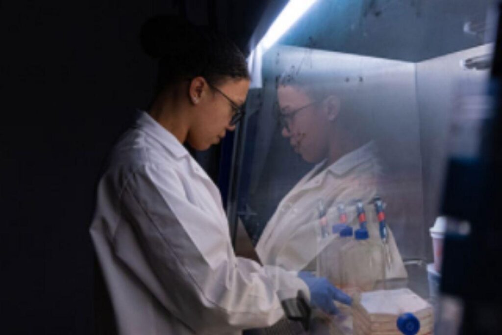 Cientistas criam tratamento que pode destruir câncer no ovário em 6 dias