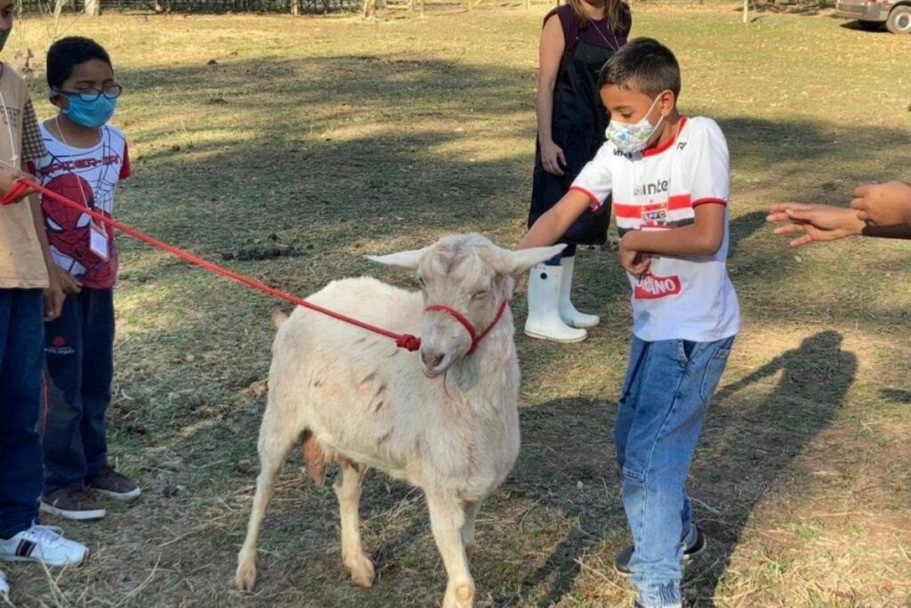 Dani Gurgel criou a ONG Conecta que utiliza terapia em crianças com ajuda de animais