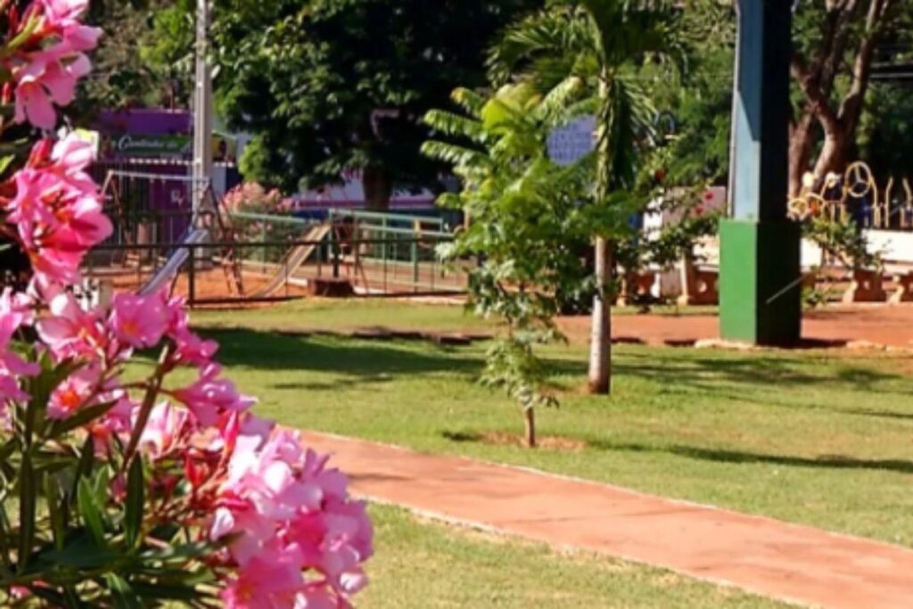 Menino de 4 anos sofre traumatismo craniano após cair de brinquedo inflável