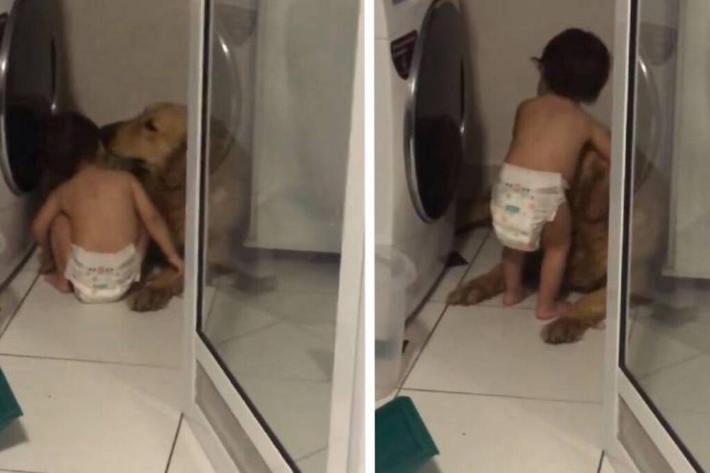 Viralizou! Bebê de 1 ano faz carinho e conversa com pet da família que estava com medo da chuva