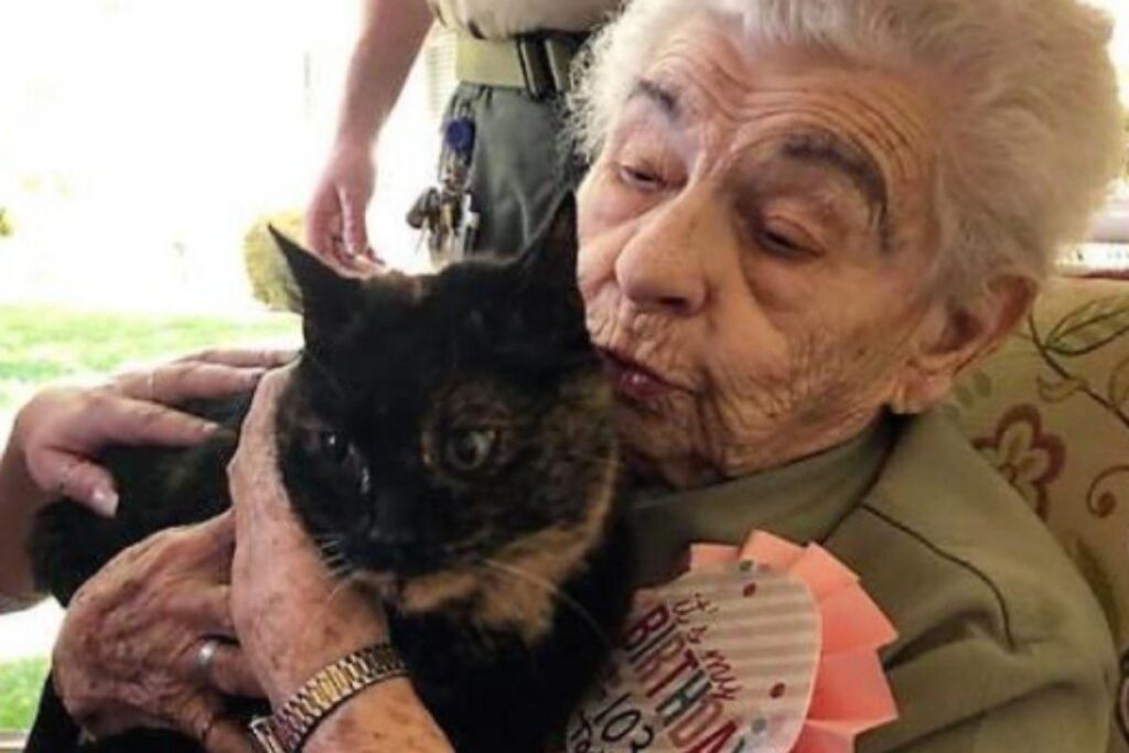 Mulher de 103 anos realiza sonho ao ganhar gato de presente de aniversário