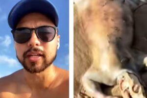 O vídeo da criatura foi publicado no Instagram