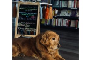 Golden Retrievier ganha livraria com o próprio nome e vira gerente da loja