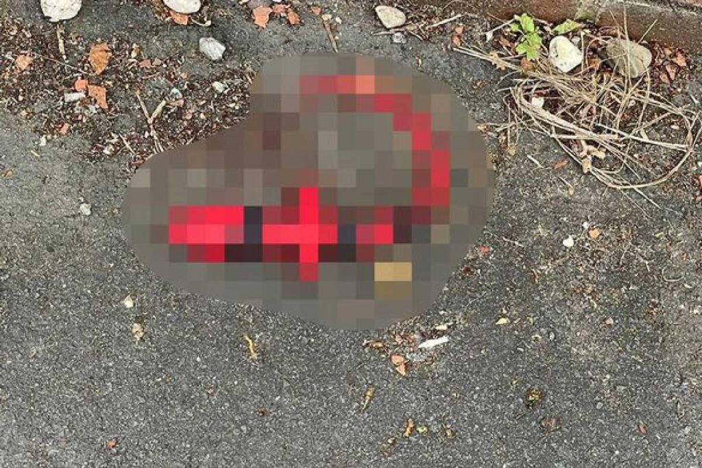 Uma mulher relatou sobre o constrangimento quando o filho encontrou um brinquedo adulto na rua