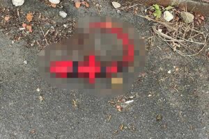 Uma mulher relatou sobre o constrangimento quando o filho encontrou um brinquedo adulto na rua