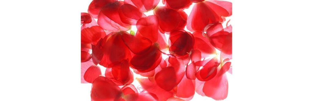 O Dia Mundial da Hemofilia traz a importância de falar sobre a doença genética que afeta milhares de pessoas no mundo