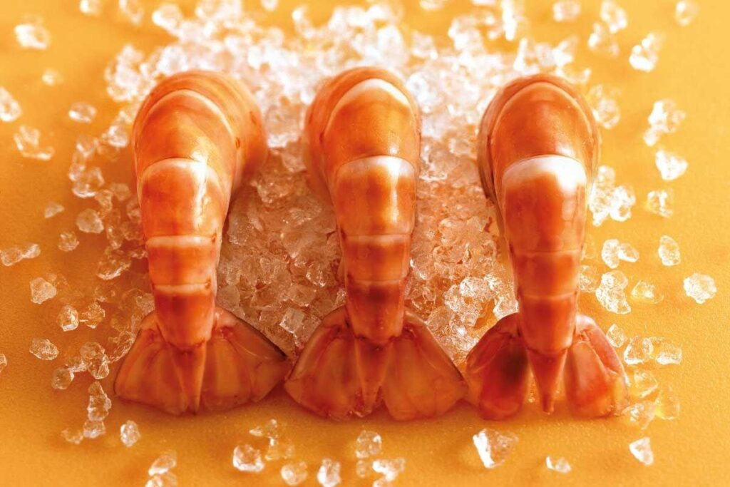 O camarão é seu aliado nas refeições em família, confia!