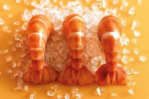 O camarão é seu aliado nas refeições em família, confia!