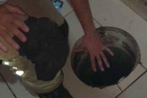 Menino de 1 ano se afoga ao cair em caixa de gordura dentro de casa