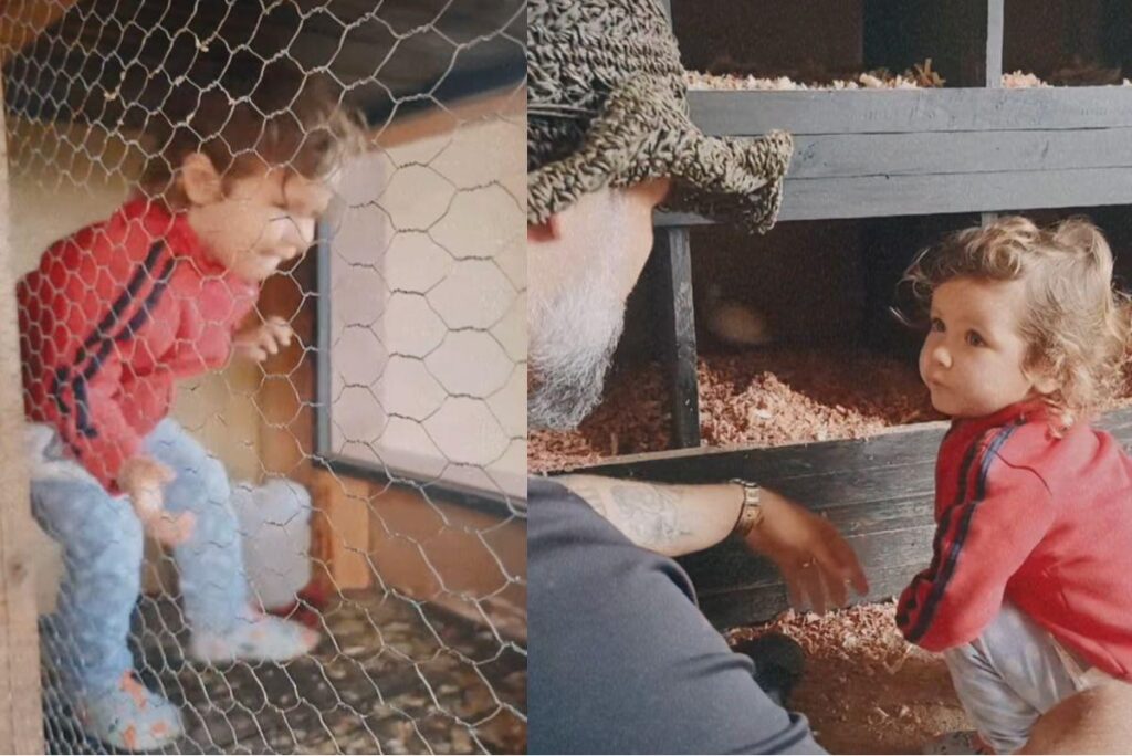 Bruno Gagliasso levou o filho para brincar no galinheiro