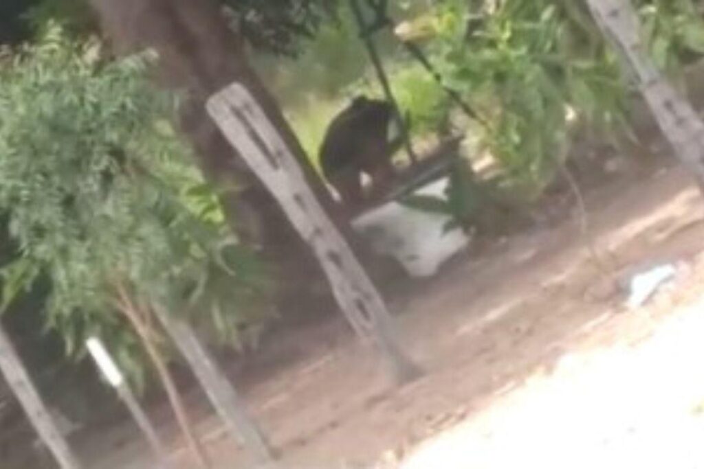 A mulher foi flagrada agredindo brutalmente o filho de 8 anos