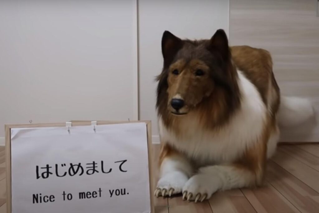 Homem faz fantasia realista e se transforma em cachorro