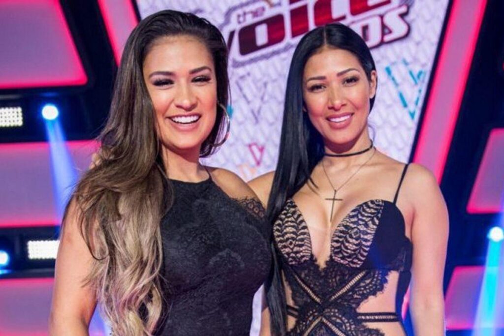 Simone mostra presente de R$ 17 mil que ganhou de aniversário da irmã, Simaria