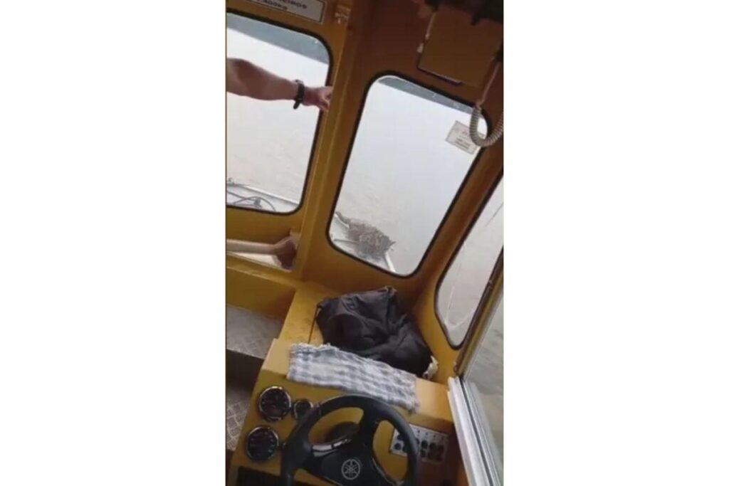 As crianças estavam a caminho da escola quando o encontro aconteceu.