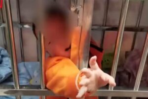 A mãe mantinha a criança dentro de uma gaiola enquanto trabalhava