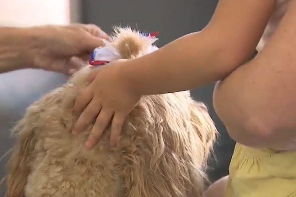 Melanie Jacobson, a tutora, e a amiga de quatro patas, Lucy