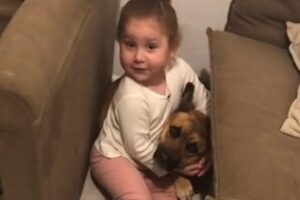 Ana Carolina dando o maior suporte para Toddy