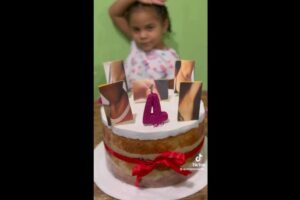 Decoração da festa da Elloá, de 4 anos