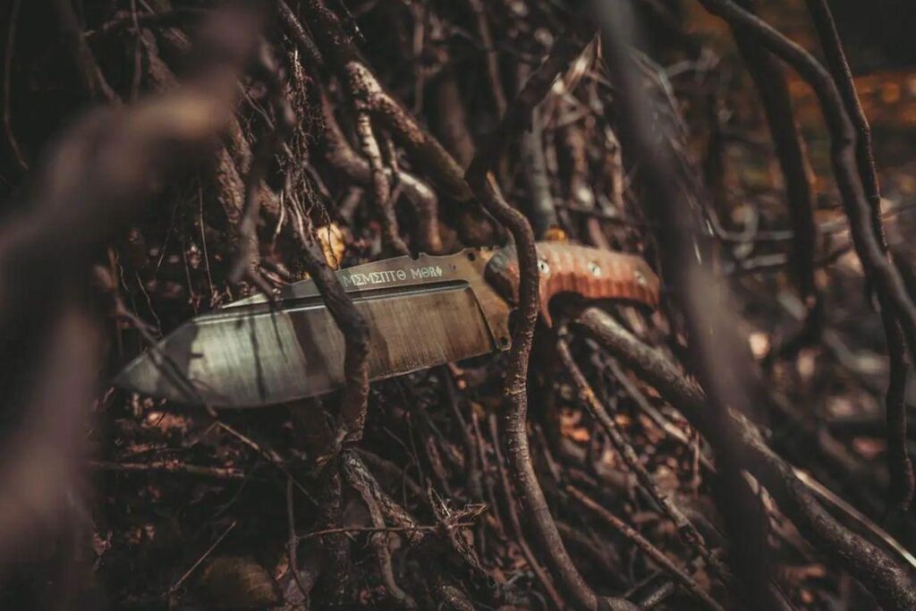 A menina já estava planejando o crime há mais de uma semana