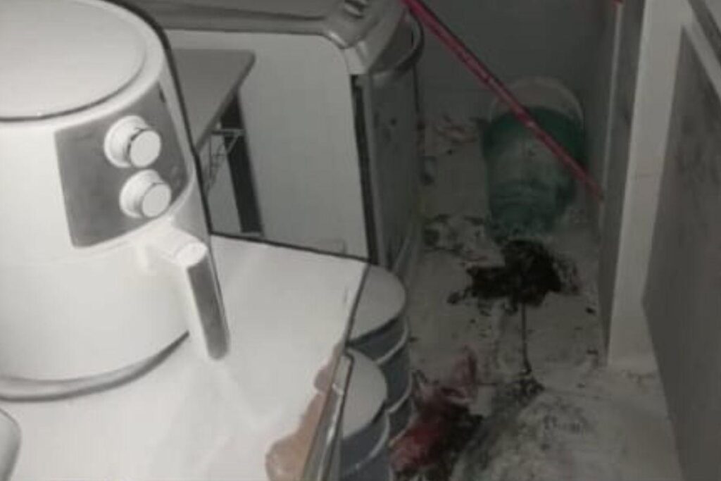 Tássia Caroline Pacheco Leão, de 36 anos, estava no sétimo mês de gestação