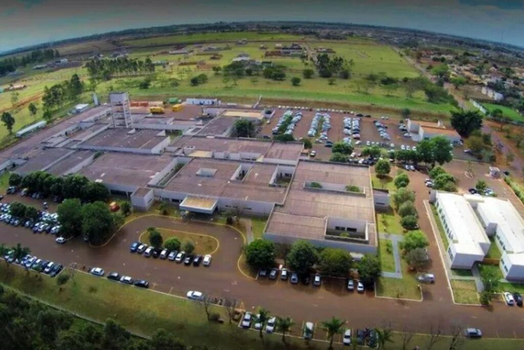 Assim que o crime aconteceu, a menina foi direto contar para seus irmãos