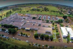 Assim que o crime aconteceu, a menina foi direto contar para seus irmãos