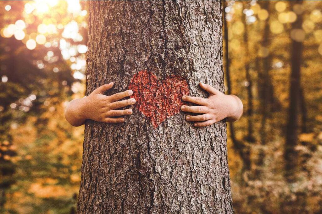 As coisas da rotina tem muita beleza, basta querer enxergar