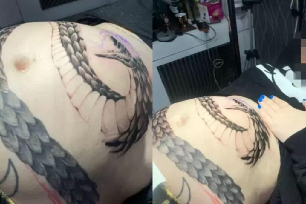 Qualquer substância ou organismo externo ao corpo da grávida, durante a vida embrionária ou fetal, pode acabar causando má-formação até um aborto