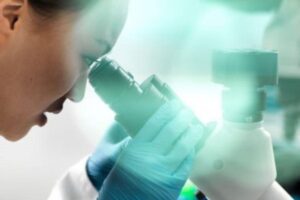 Cientistas chineses fazem alerta para nova vírus capaz de contaminar os seres humanos, o Langya henipavirus.