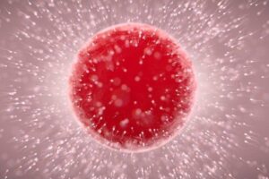 Inseminação caseira pode causar riscos de saúde