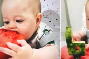 O bebê adorou a melancia em formato de bolo