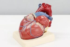 Bebê passa por transplante pioneiro de coração