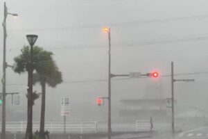 Vivian Amorim comemora primeiro mês da filha