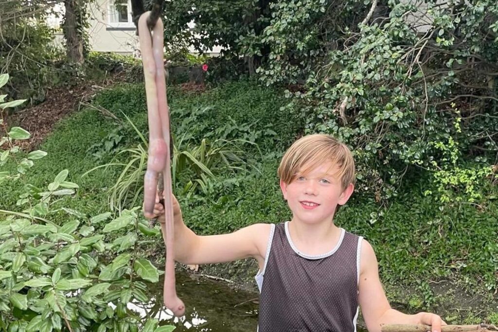 Local onde o menino encontrou a enorme minhoca no quintal de casa