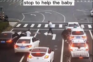 Gato amarelo com tutora no colo