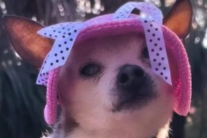 Peebles foi a óbito na última segunda-feira, 3