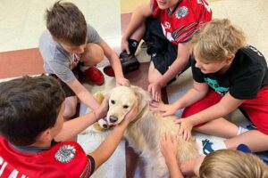 cachorro invadindo uma loja em Tabatinga