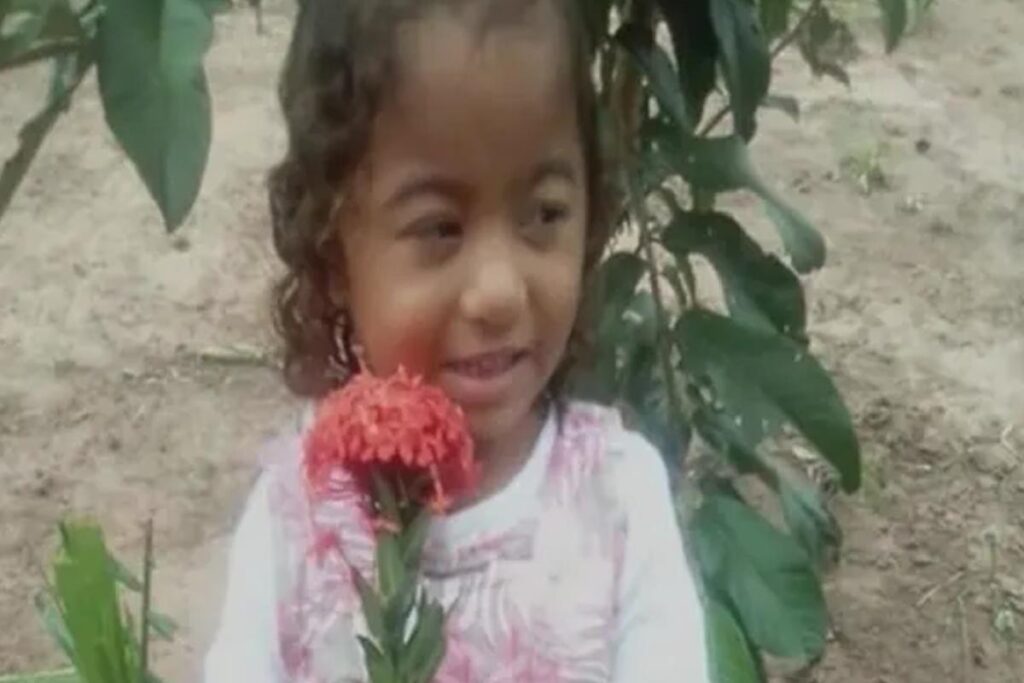 A menina foi encaminhada até um ambiente hospitalar, porém não resistiu aos ferimentos