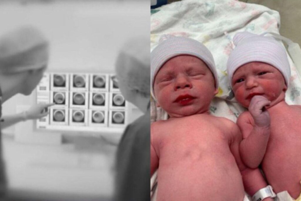 Embriões foram congelados há três décadas