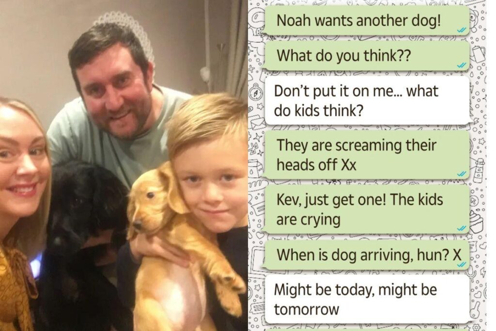 Menino finge ser a mãe em conversa no Whatsapp para ganhar um cachorro