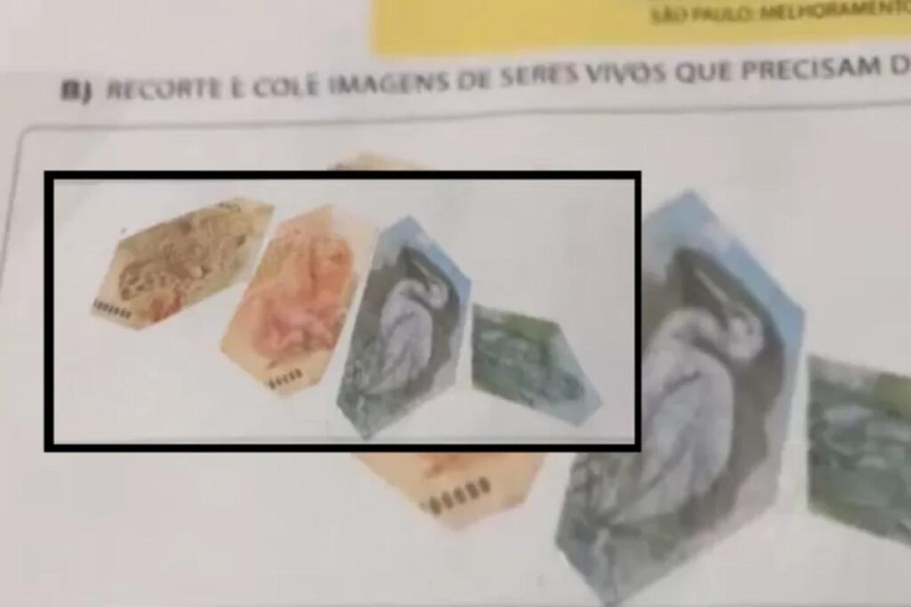 Criança recorta dinheiro para lição de casa e os pais vão à loucura: ‘Socorro!’