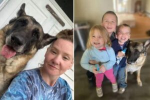 Mãe viraliza ao dizer que deixa o cachorro cuidar dos filhos