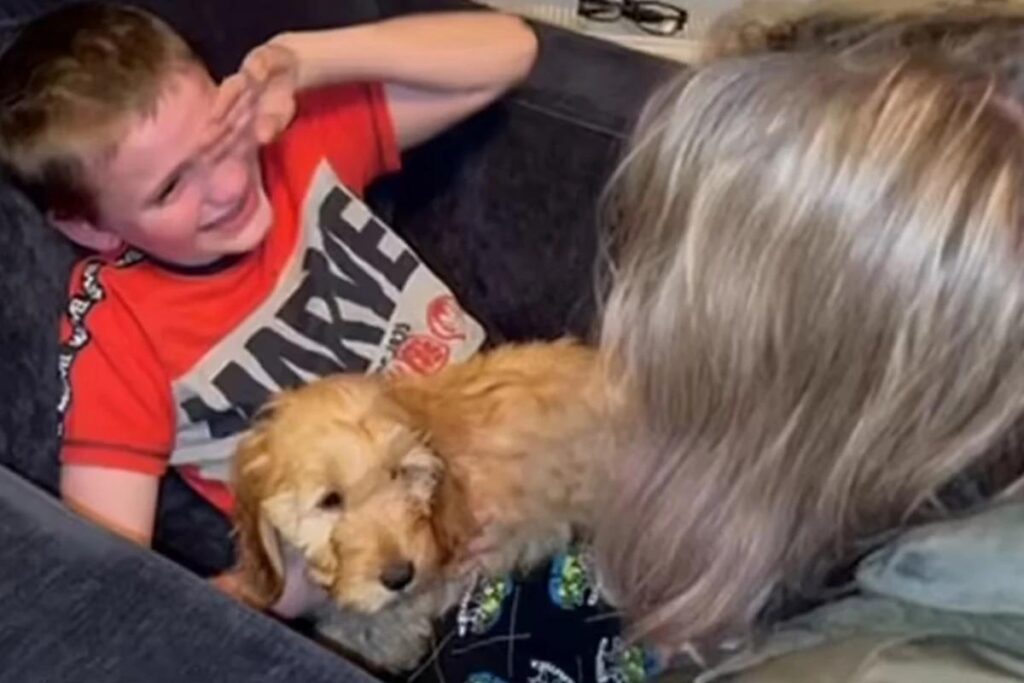 Garoto de 13 anos com deficiência ganha cachorro também com deficiência