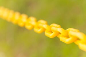 A análise cromossômica de embriões podem ajudar casais que desejam aumentar a família