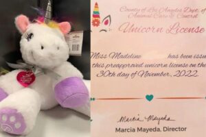 A menina pediu permissão para ter um unicórnio