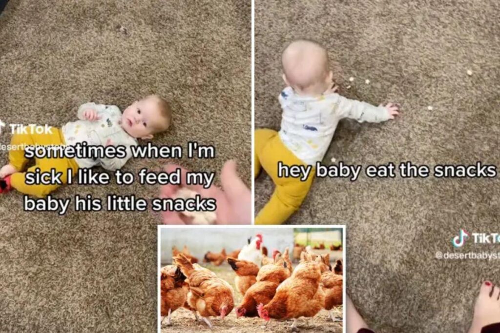 Mãe viraliza ao dizer que alimenta o filho como se fosse uma galinha